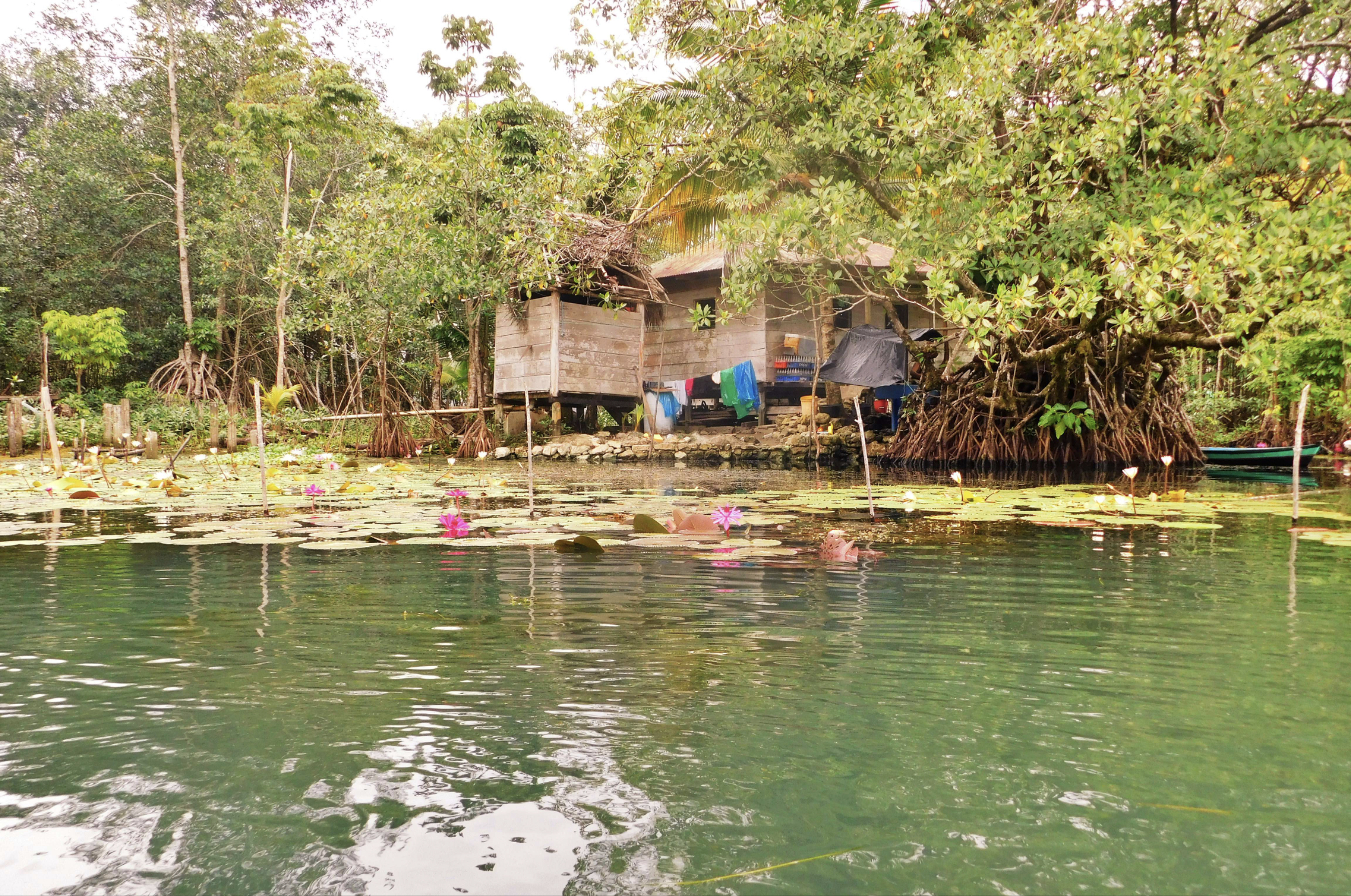 Garifuna Village