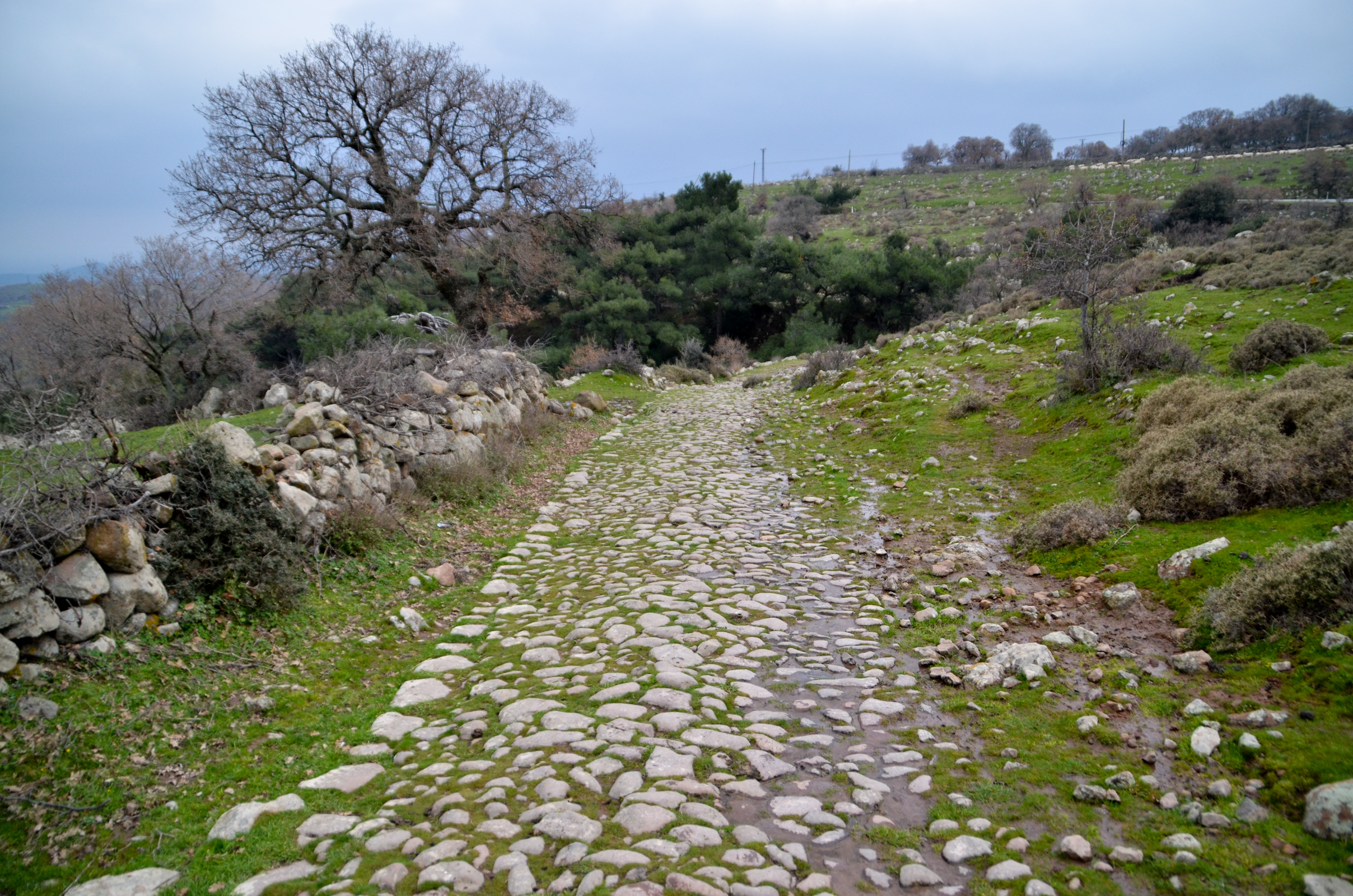 Ancient road near Apollo Smintheum